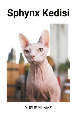 bokomslag Sphynx Kedisi