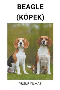 bokomslag Beagle (Kpek)