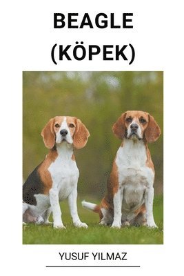 Beagle (Kpek) 1