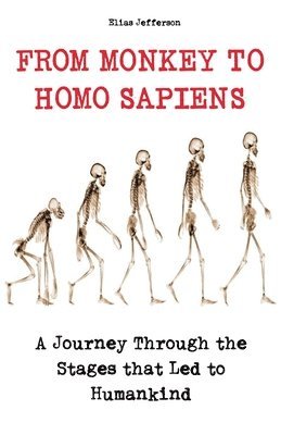 Elias Jefferson - From Monkey to Homo Sapiens A Journey Through the Stages that Led to Humankind, Häftad
