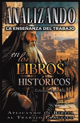 bokomslag Analizando la Ensenanza del Trabajo en los Libros Histoticos