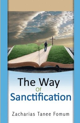 bokomslag Way of Sanctification