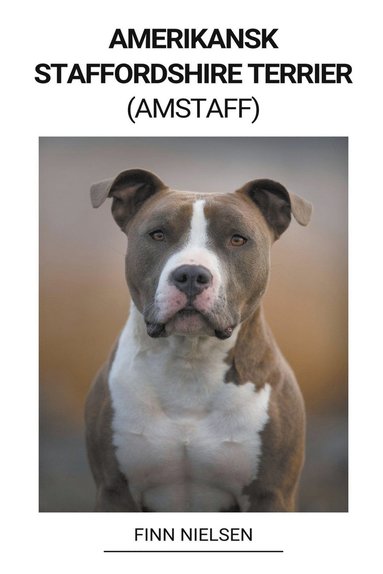 bokomslag Amerikansk Staffordshire Terrier (Amstaff)