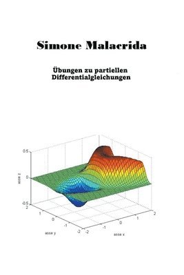 bokomslag bungen zu partiellen Differentialgleichungen