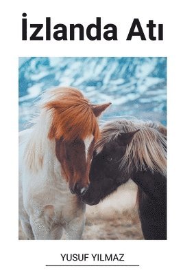 bokomslag &#304;zlanda At&#305;