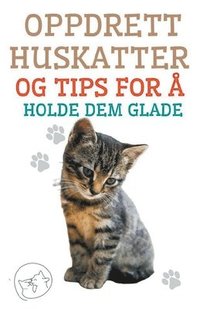 bokomslag Oppdrett Huskatter og Tips for a Holde dem Glade