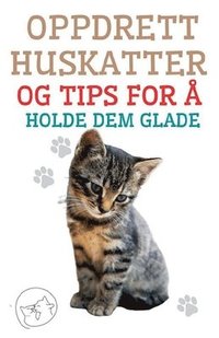 bokomslag Oppdrett Huskatter og Tips for å Holde dem Glade