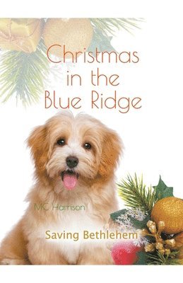 Christmas in the Blue Ridge, Saving Bethlehem 1