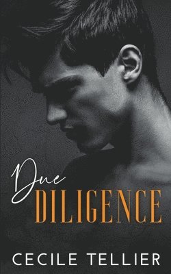 Due Diligence 1