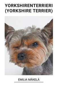 bokomslag Yorkshiren Terrieri (Yorkshire Terrier)