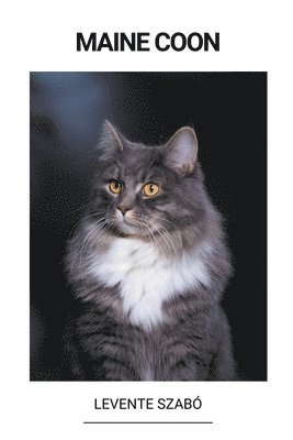 bokomslag Maine Coon