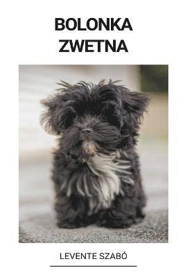 Bolonka Zwetna 1