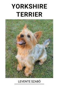 bokomslag Yorkshire Terrier