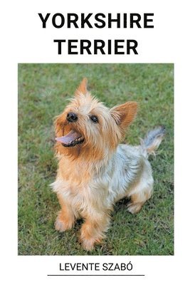 bokomslag Yorkshire Terrier