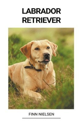 bokomslag Labrador Retriever