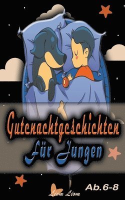 bokomslag Gutenachtgeschichten für Jungen