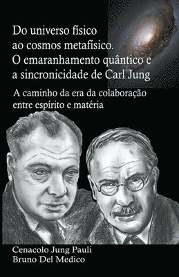 bokomslag Do universo fisico ao cosmos metafisico. O emaranhamento quantico e a sincronicidade de Carl Jung