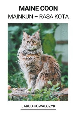 bokomslag Maine Coon (Mainkun - Rasa Kota)