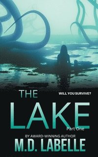 bokomslag The Lake Part One