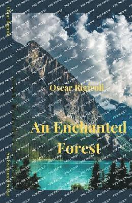 bokomslag Enchanted Forest