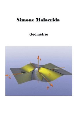 bokomslag Geometrie