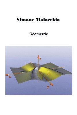 Simone Malacrida - Géométrie, Häftad