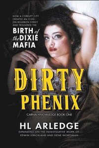 bokomslag Dirty Phenix