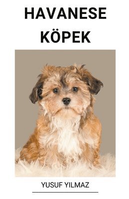 bokomslag Havanese Koepek