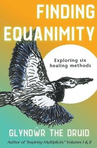 bokomslag Finding Equanimity