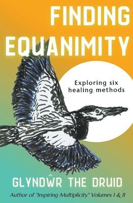 bokomslag Finding Equanimity