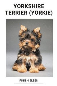 bokomslag Yorkshire Terrier (Yorkie)