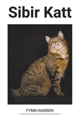bokomslag Sibir Katt