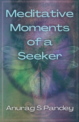 Meditative Moments of a Seeker