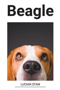 bokomslag Beagle
