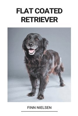 bokomslag Flat Coated Retriever