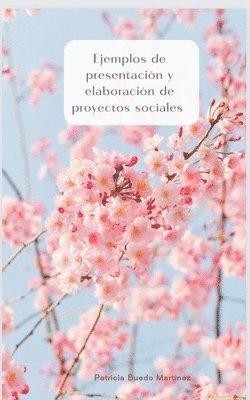 bokomslag Ejemplos de presentación y elaboración de proyectos sociales