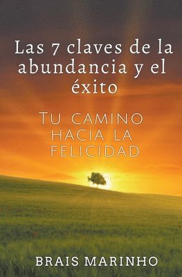 bokomslag 7 claves de la abundancia y el éxito