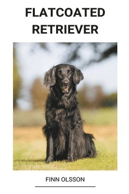 bokomslag Flatcoated Retriever