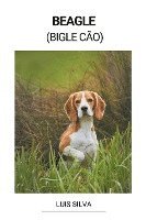 bokomslag Beagle (Bigle Co)