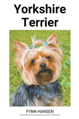 bokomslag Yorkshire Terrier