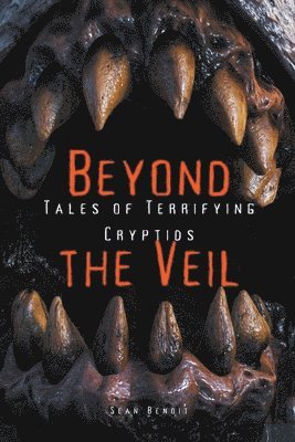 bokomslag Beyond the Veil