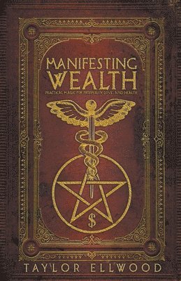 bokomslag Manifesting Wealth
