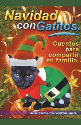 bokomslag Navidad con Gatitos. Cuentos para compartir en familia.