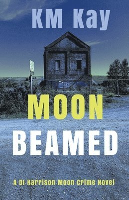 bokomslag Moon Beamed