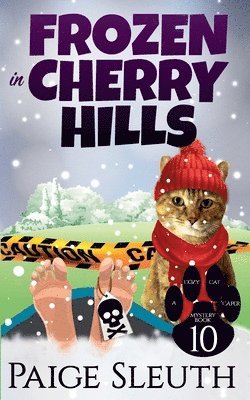 Paige Sleuth - Frozen in Cherry Hills, Häftad