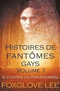 bokomslag Histoires de fantmes gays volume 1