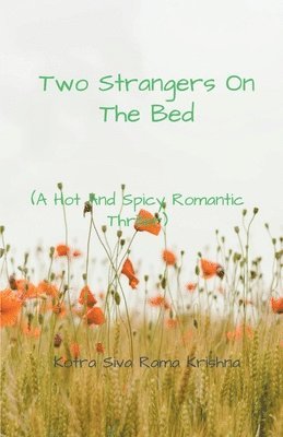 Two Strangers On The Bed 1