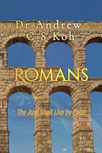 bokomslag Romans