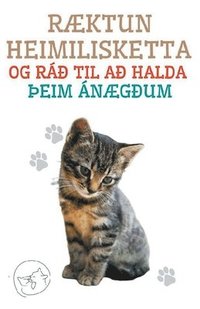 bokomslag Raektun Heimilisketta og rad til ad Halda THeim Anaegdum