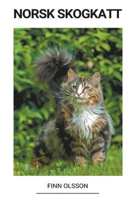 bokomslag Norsk Skogkatt